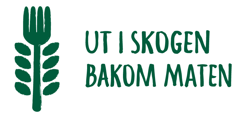 Bakom Maten